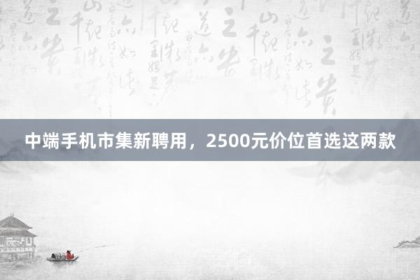 中端手机市集新聘用，2500元价位首选这两款