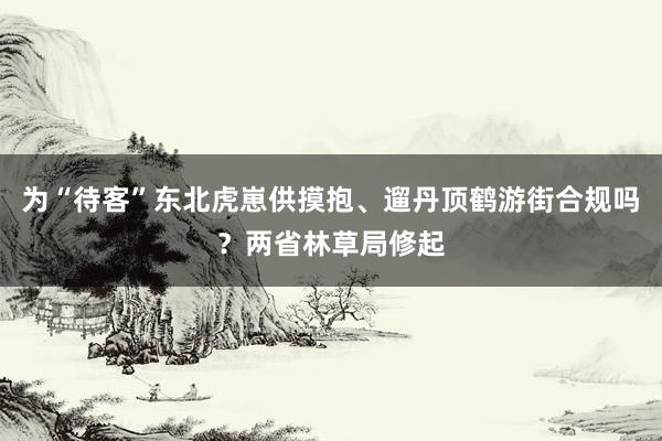 为“待客”东北虎崽供摸抱、遛丹顶鹤游街合规吗？两省林草局修起