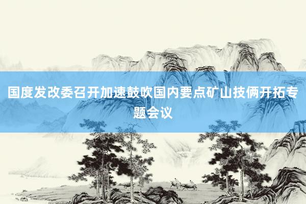 国度发改委召开加速鼓吹国内要点矿山技俩开拓专题会议