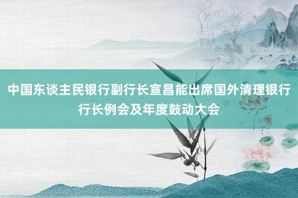 中国东谈主民银行副行长宣昌能出席国外清理银行行长例会及年度鼓动大会