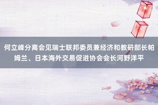 何立峰分离会见瑞士联邦委员兼经济和教研部长帕姆兰、日本海外交易促进协会会长河野洋平