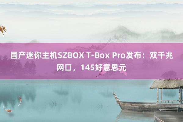 国产迷你主机SZBOX T-Box Pro发布：双千兆网口，145好意思元