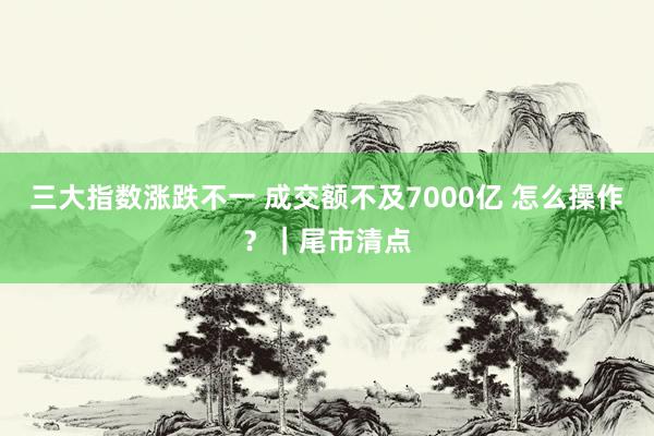 三大指数涨跌不一 成交额不及7000亿 怎么操作？｜尾市清点