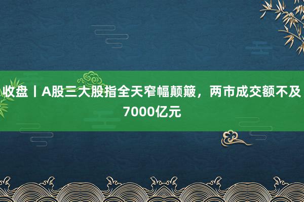 收盘丨A股三大股指全天窄幅颠簸，两市成交额不及7000亿元