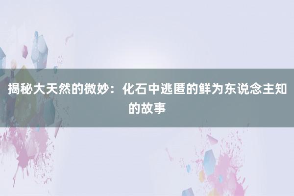 揭秘大天然的微妙：化石中逃匿的鲜为东说念主知的故事