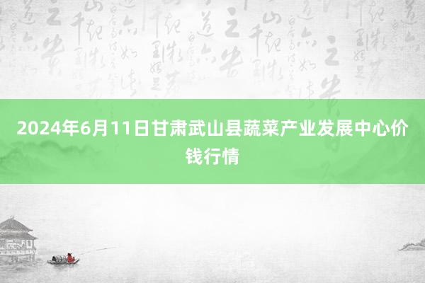 2024年6月11日甘肃武山县蔬菜产业发展中心价钱行情