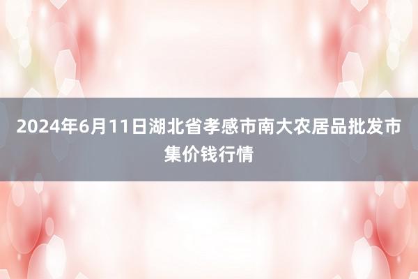 2024年6月11日湖北省孝感市南大农居品批发市集价钱行情