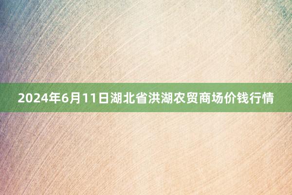 2024年6月11日湖北省洪湖农贸商场价钱行情