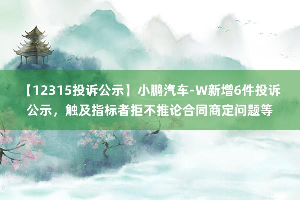 【12315投诉公示】小鹏汽车-W新增6件投诉公示，触及指标者拒不推论合同商定问题等