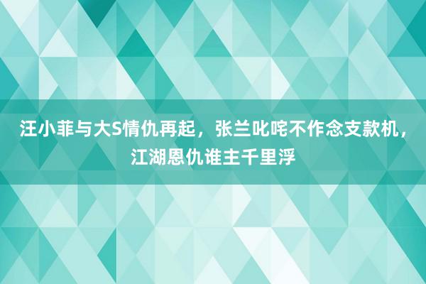 汪小菲与大S情仇再起，张兰叱咤不作念支款机，江湖恩仇谁主千里浮